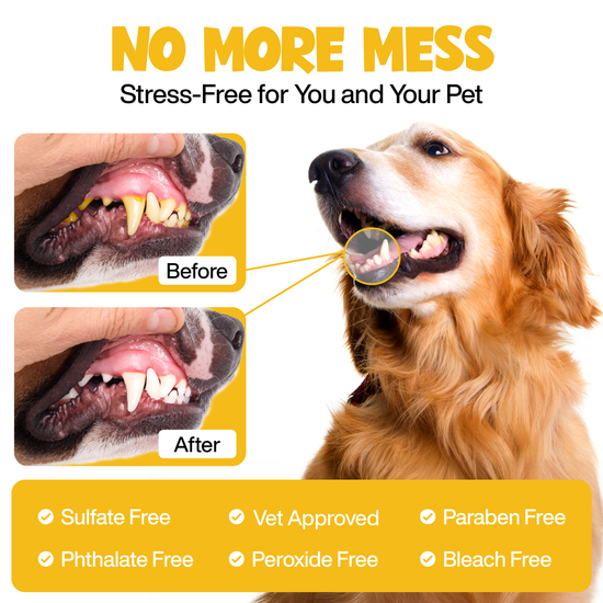 Roofus - Roofus Dental Wipes | Peanut Butter | 60ct Image