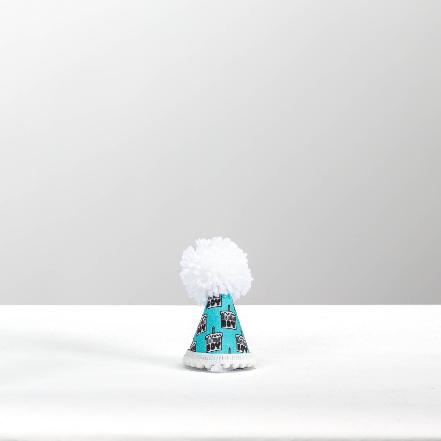 Pup Party Hats - NEW Birthday Boy Black Ink Party Hat