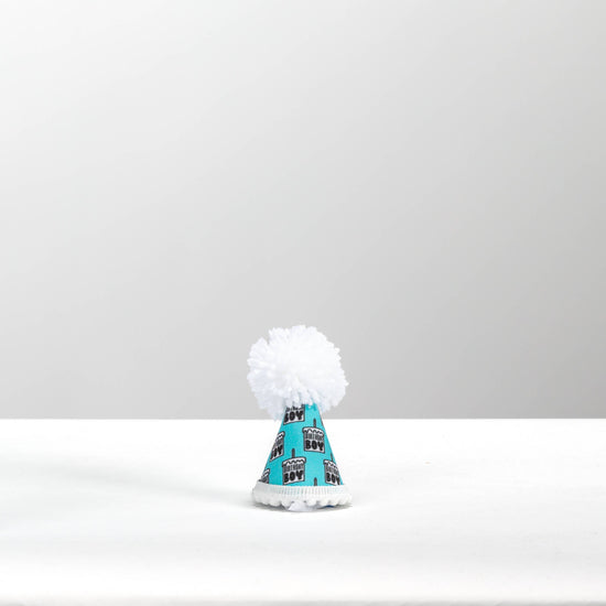 Pup Party Hats - NEW Birthday Boy Black Ink Party Hat