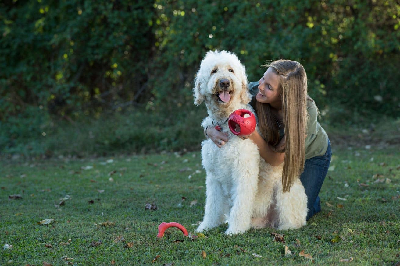 Caitec Inc - Squeakables Kettle Ball Dog Toy – HERO Image
