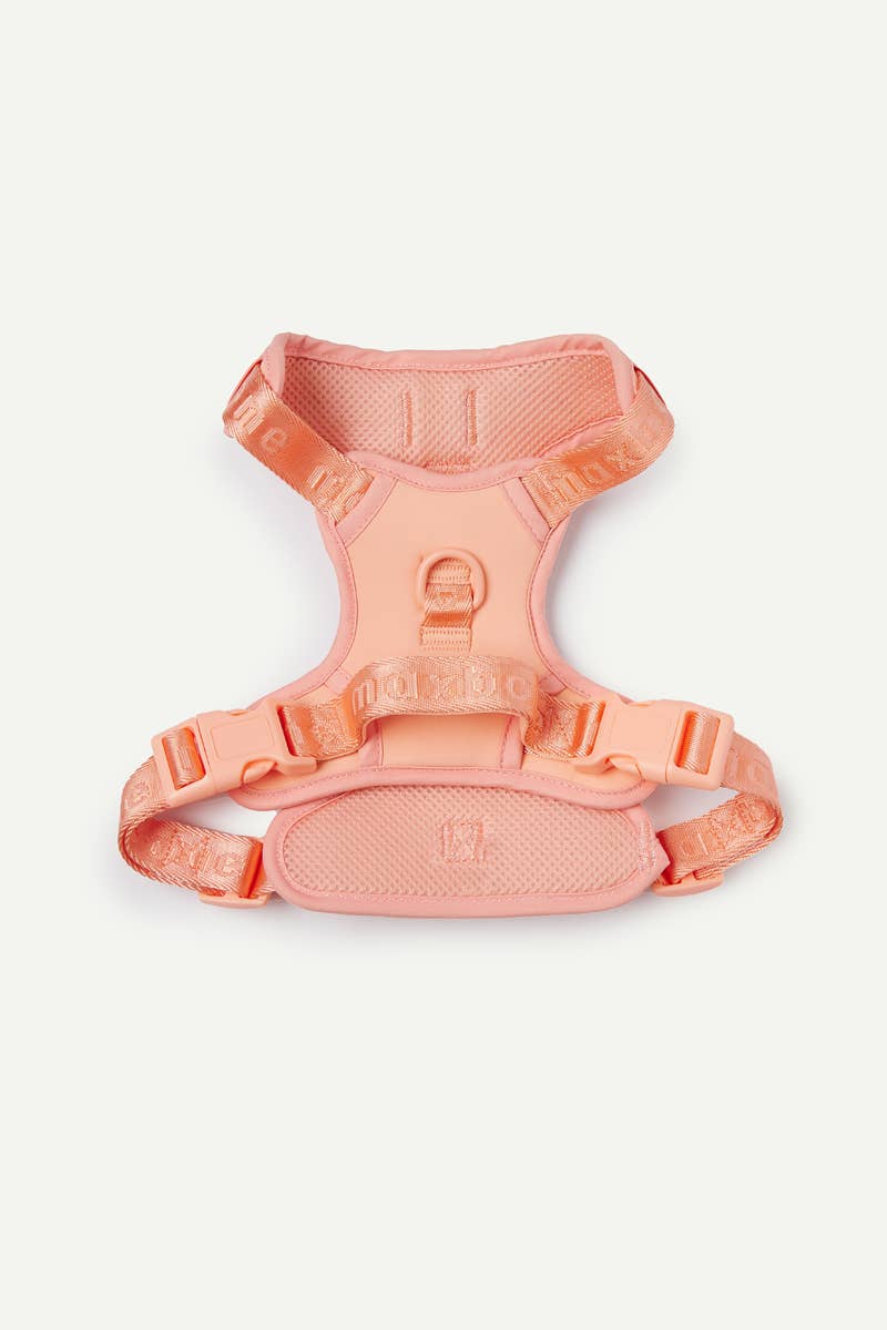 maxbone - Easy Fit Dog Harness Image