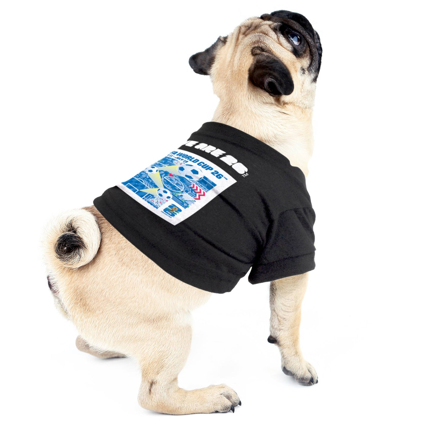 Little Earth Productions - 2026 FIFA World Cup Host City Pet T-Shirt Image
