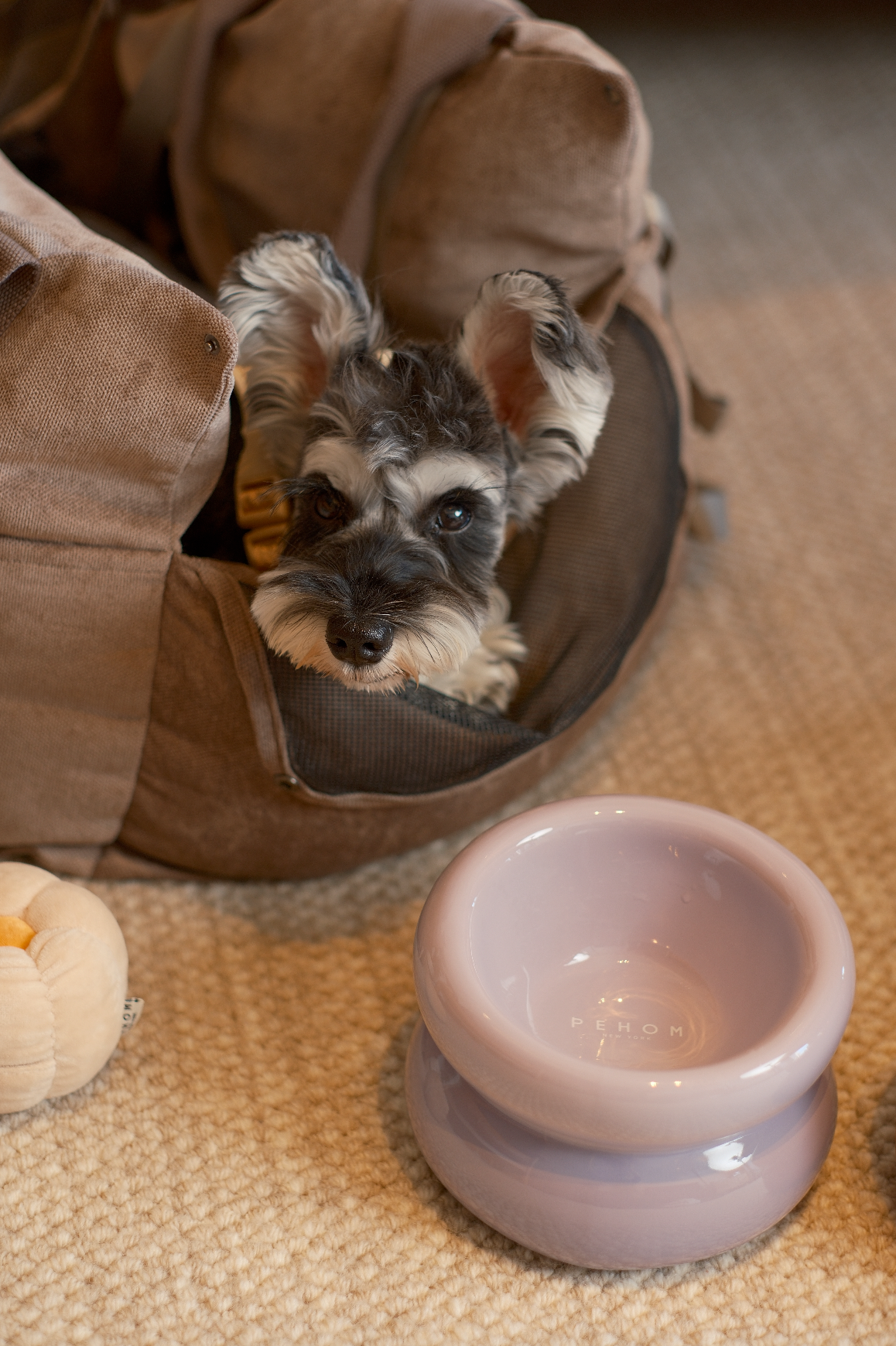 PEHOM - Soufflé Pet Bowl - Purple Image