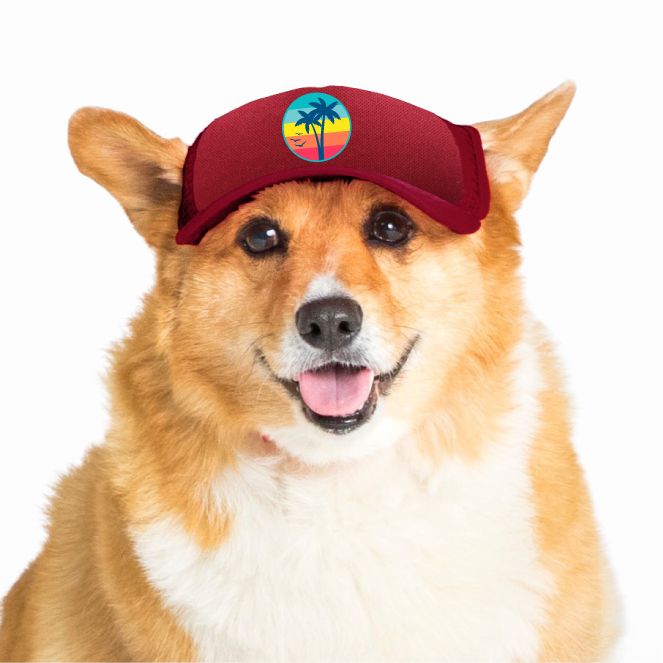 Trucker Hat for Dogs