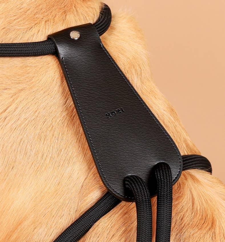 Hozi - [NEW] Essential Harness - Black Image