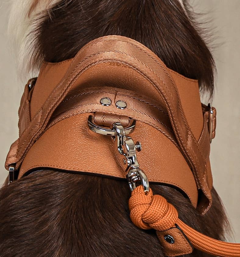 Hozi - Saddle Harness - Camel Image