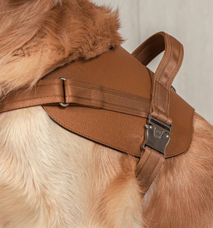 Hozi - Saddle Harness - Camel Image