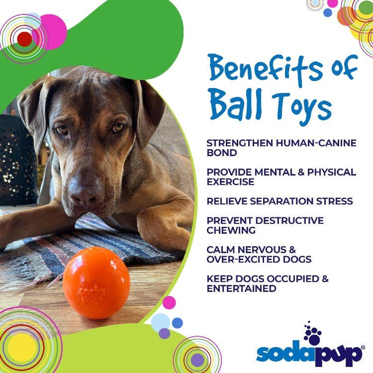 SodaPup Dog Toys - Squeak Ball Ultra Durable PUP-X Squeaking, Chewing, Floating & Retrieving Ball Image