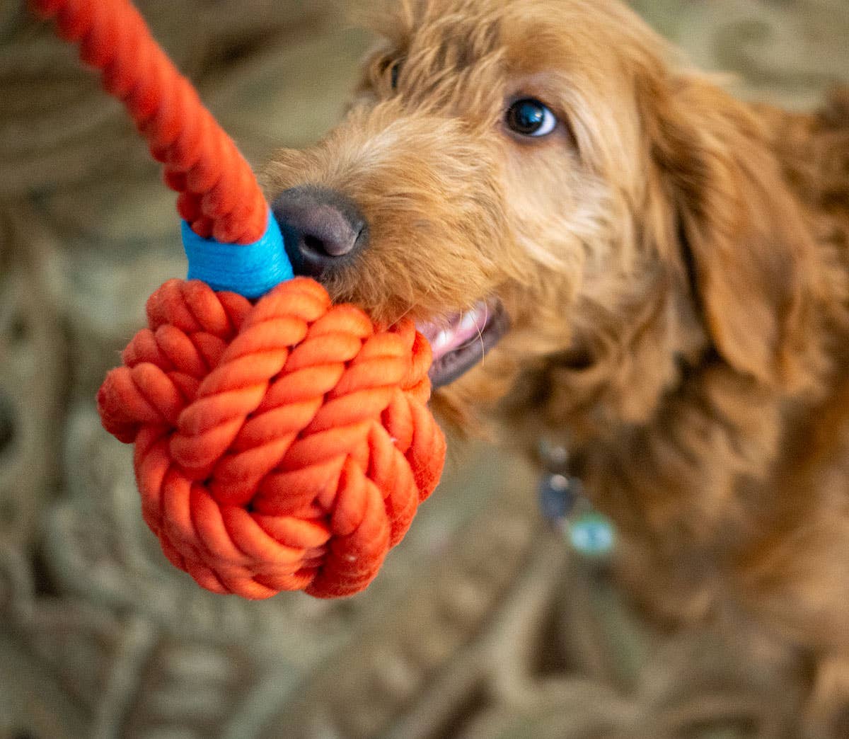 ThoozyPet Ball Tug Rope Dog Toy with Handle Orange 5" Image