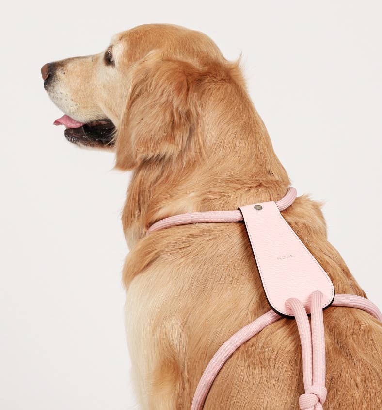 Hozi - Essential Harness - Pink Image