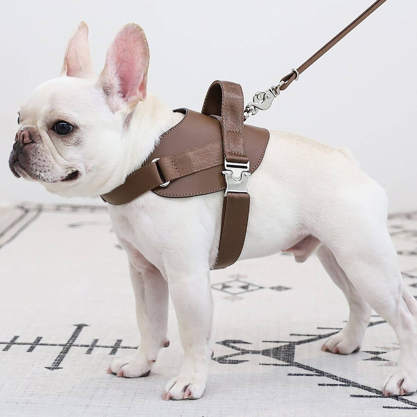 Hozi - Saddle Harness : Pink Image