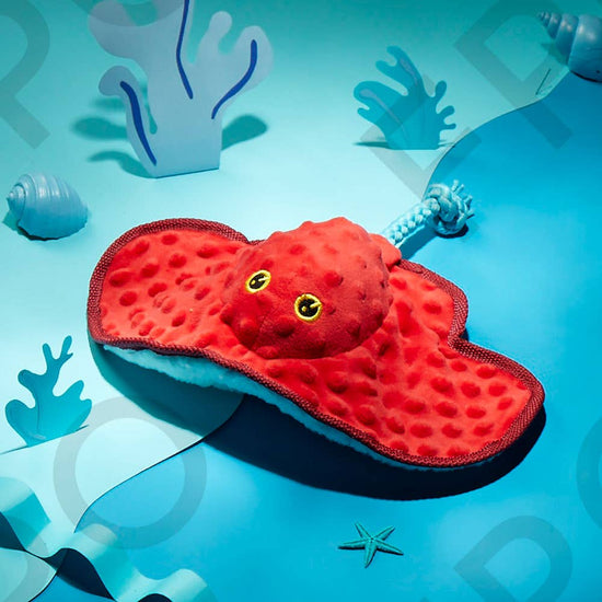 Pet Palette Distribution - BARK Sting Crosby the Ray Image