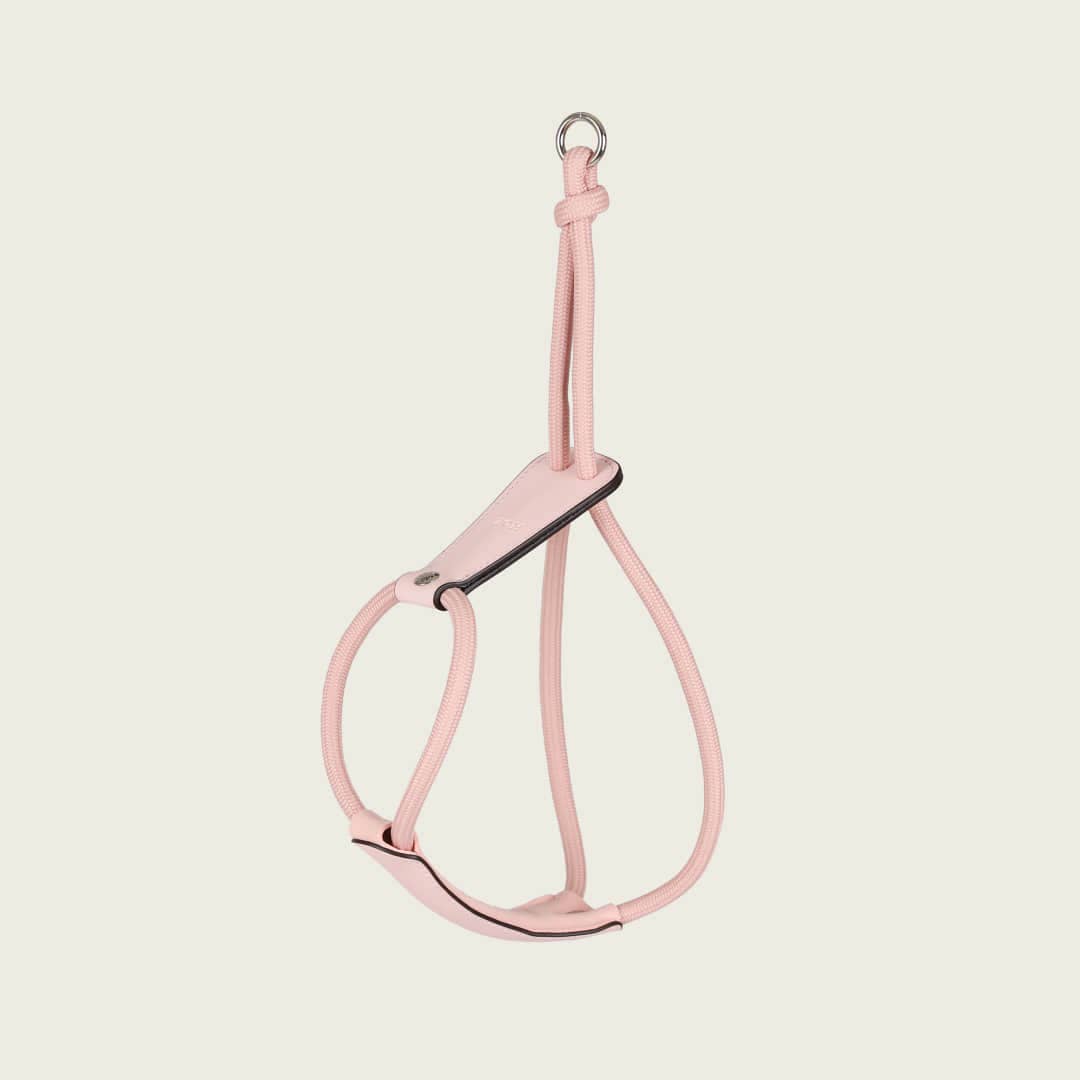 Hozi - Essential Harness - Pink Image
