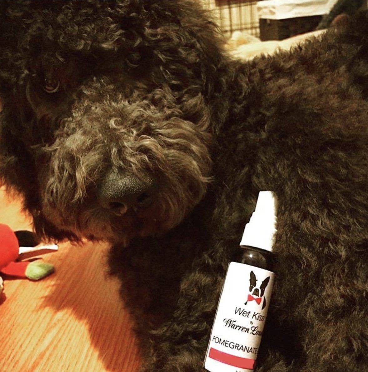 Warren London Dog Products - Wet Kiss Dog Cologne - 2 oz Image