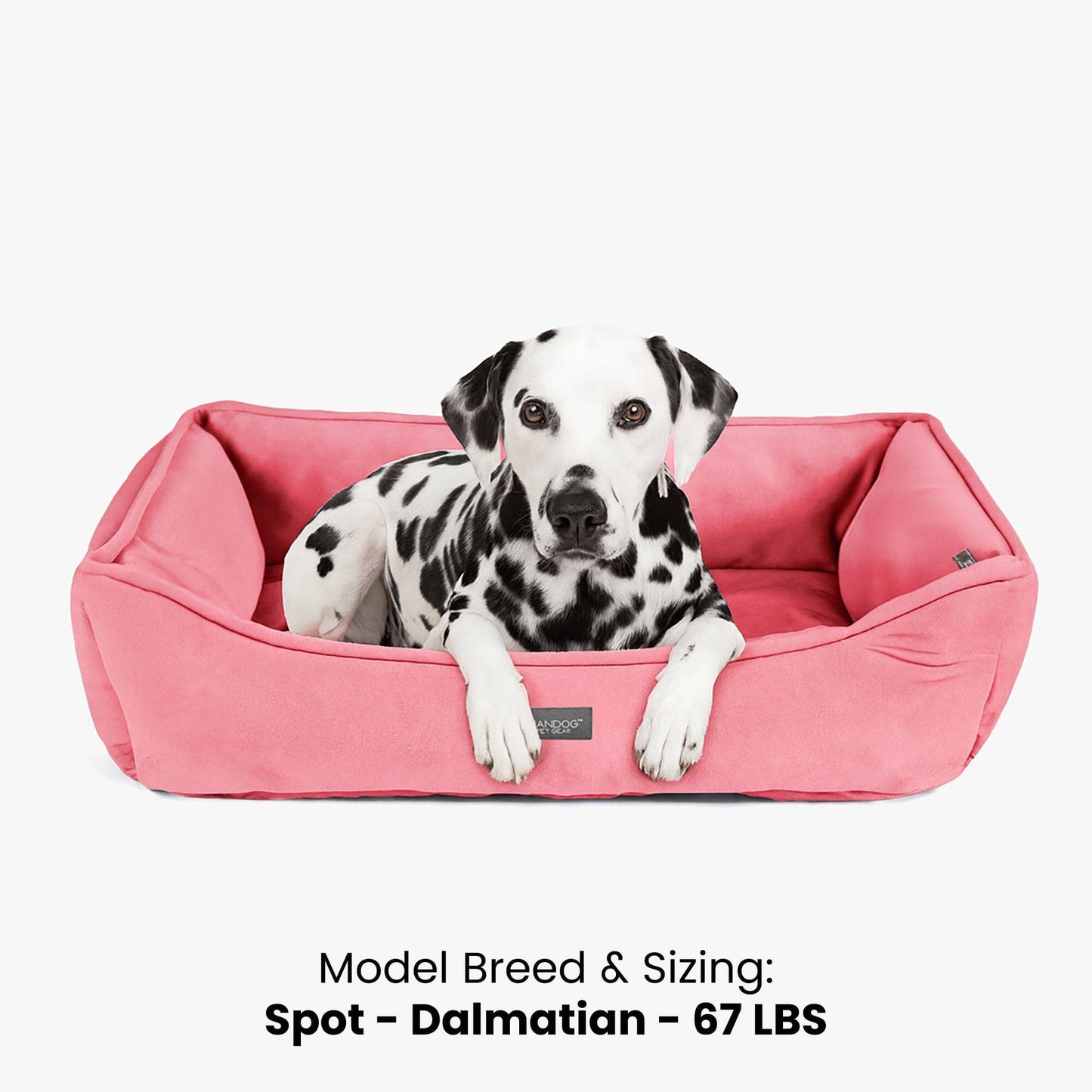Nandog Pet Gear - Signature Bed in Electric Pink Image