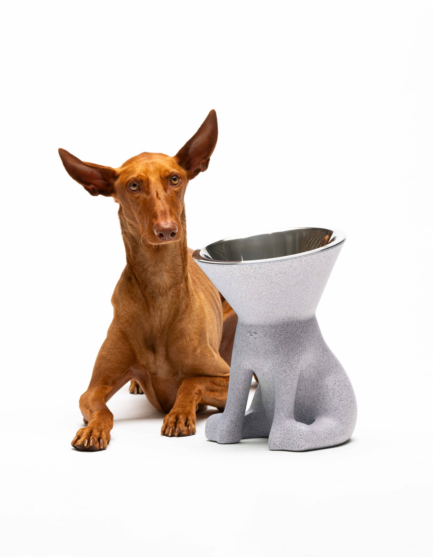 United Pets - Elizabeth: raised dog bowl