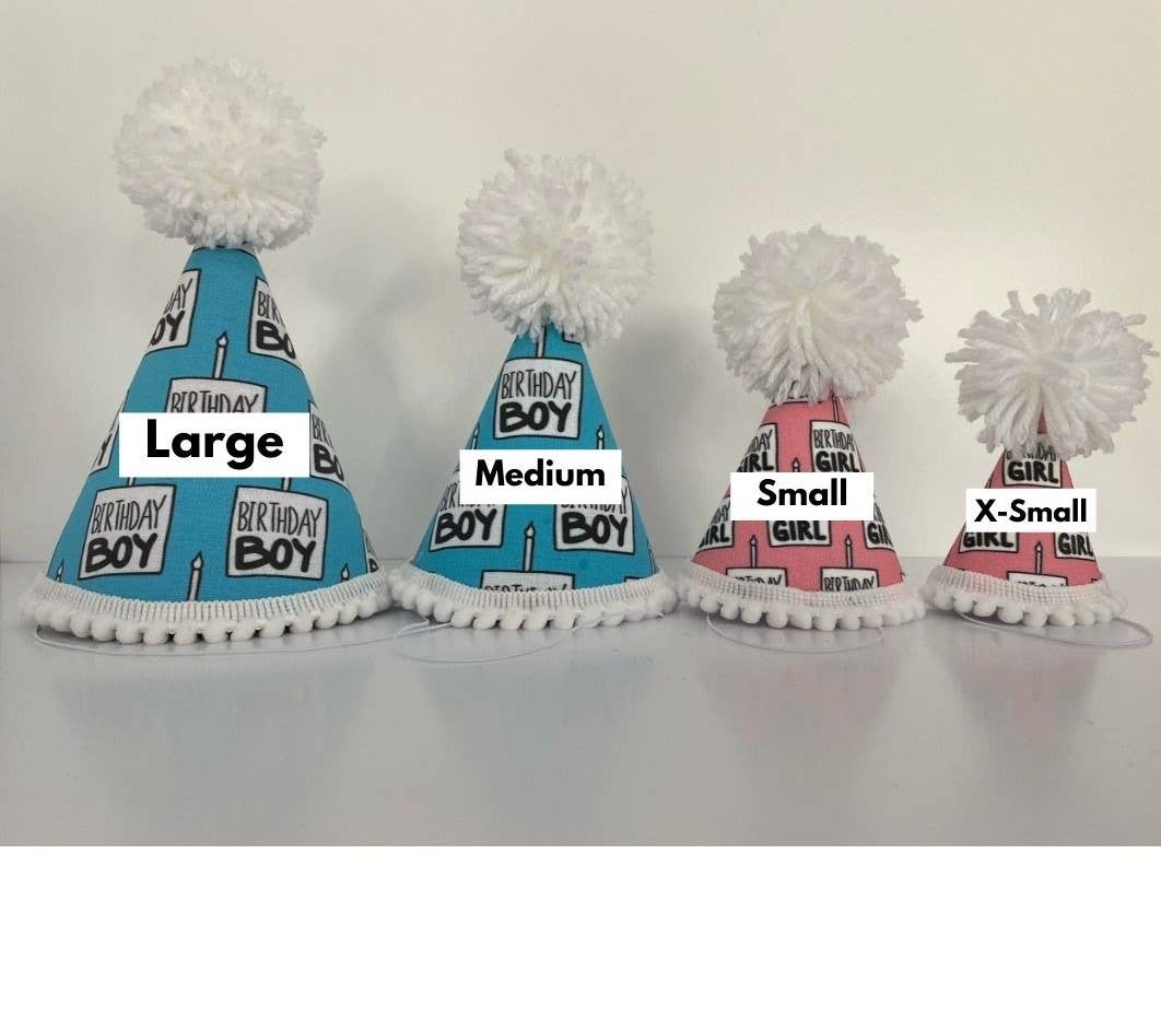 Pup Party Hats - Birthday Boy Black Ink Party Hat