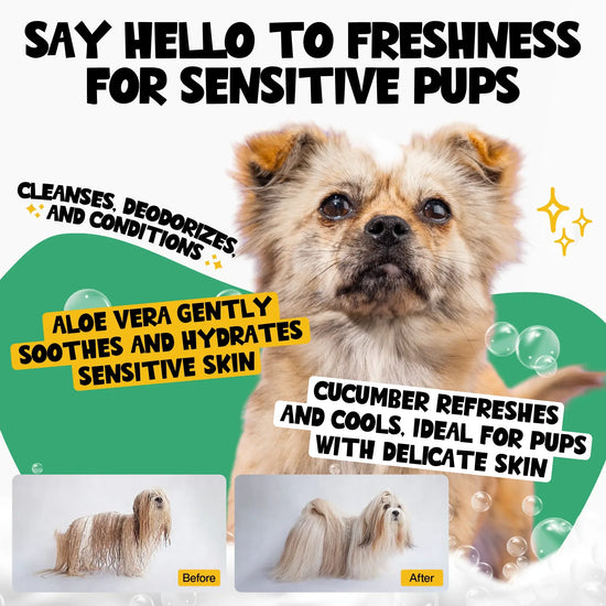 Roofus - Roofus Pet Shampoo - 1 Pack Image