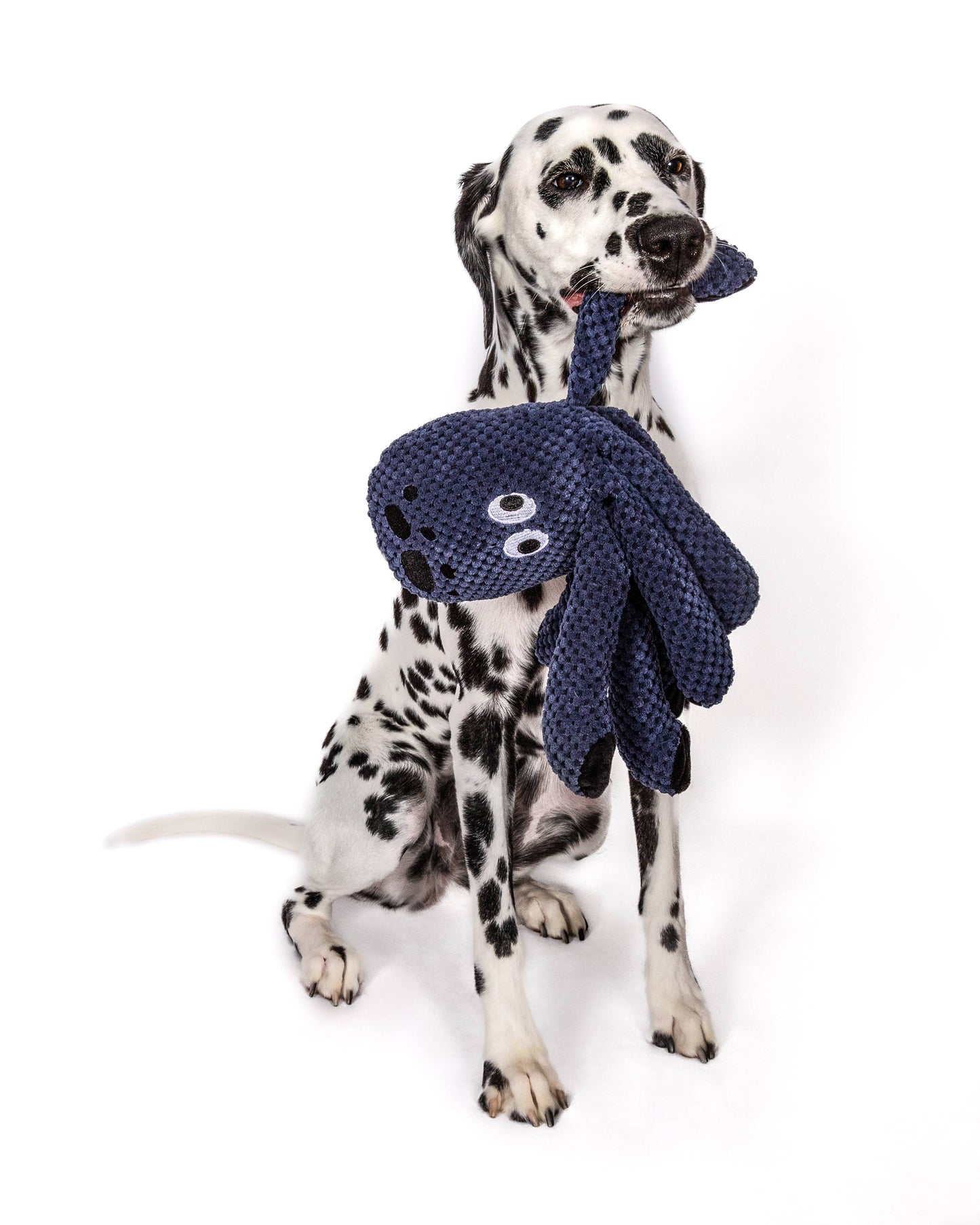 fabdog Floppy Octopus Plush Dog Toy: Ink:#073073 / Small Image