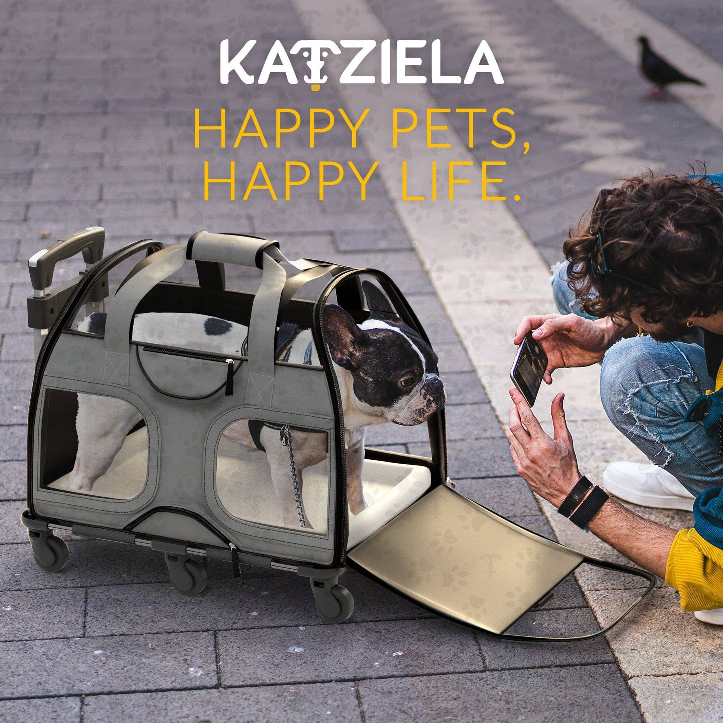 Luxury Rider Pet Carrier with Removable Wheels - 4 Colors: Black and Blue  Image