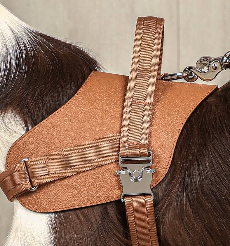 Hozi - Saddle Harness - Camel Image