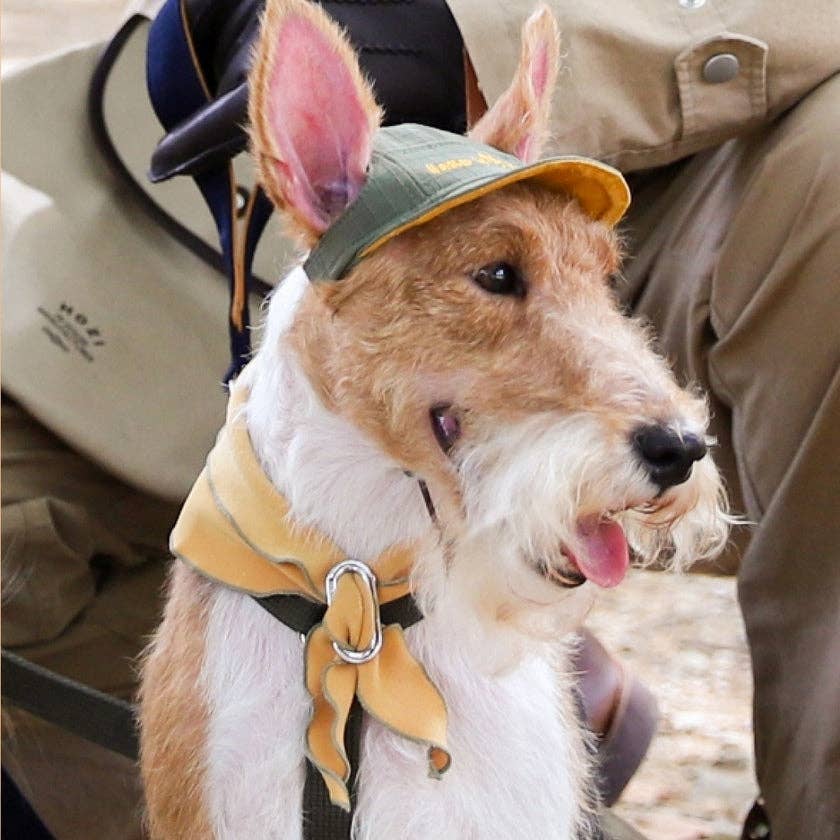 Hozi - Doggie Scarf : Mustard Image