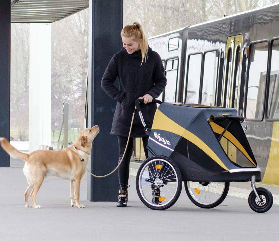 ibiyaya hercules dog stroller Ibiyaya