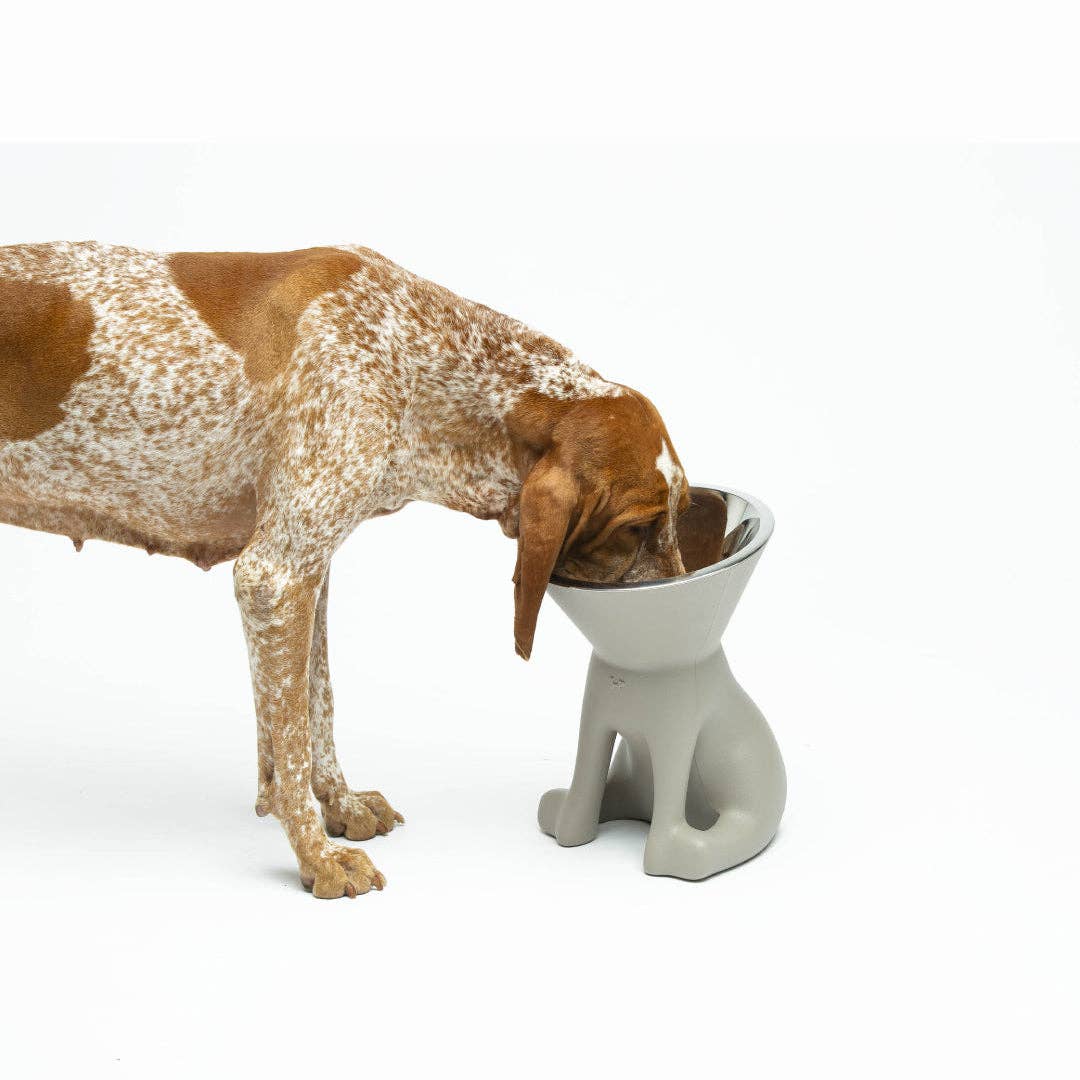 Puppy Gallery - ELIZABETH - The Queen of Dog Bowl Image