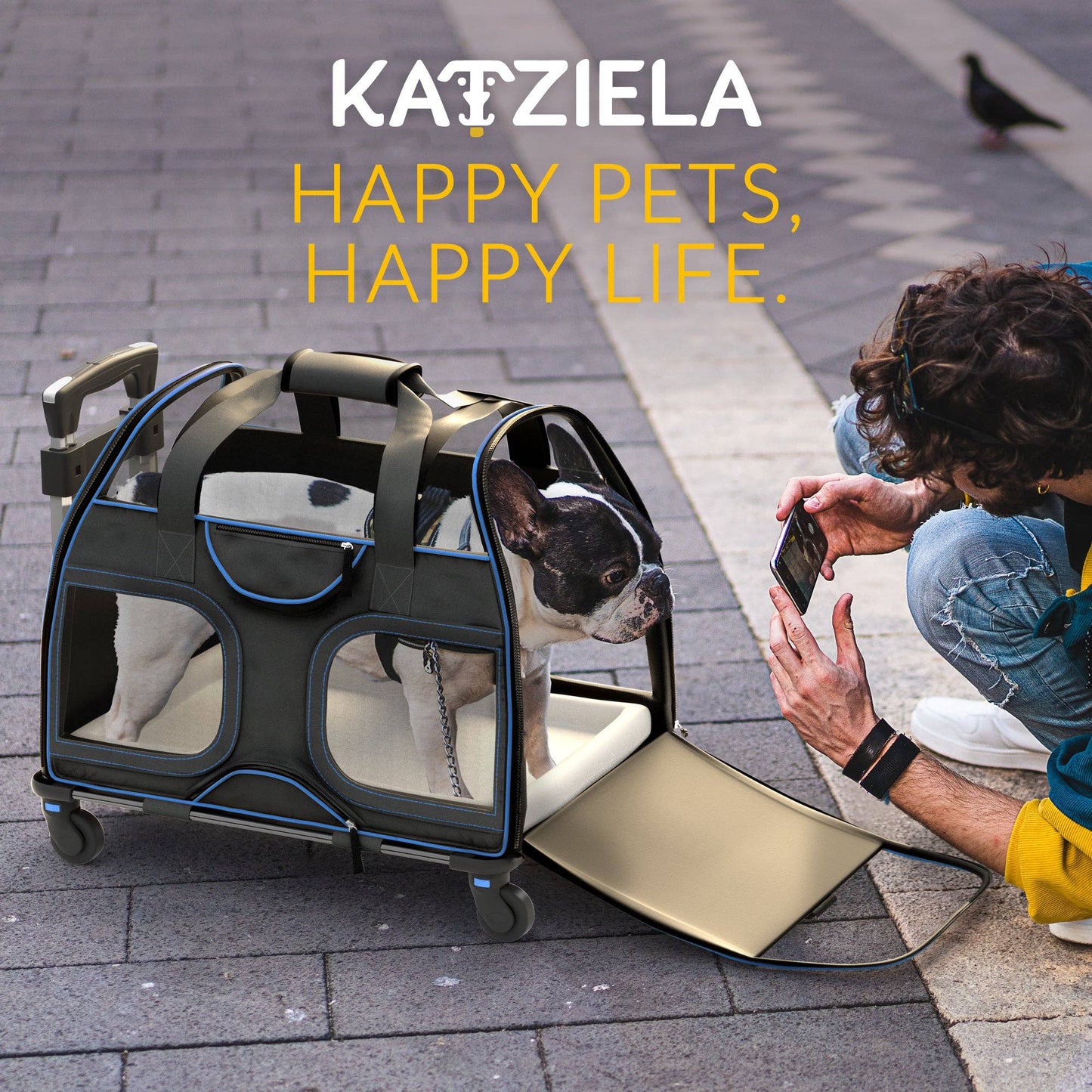 Luxury Rider Pet Carrier with Removable Wheels - 4 Colors: Black and Blue  Image