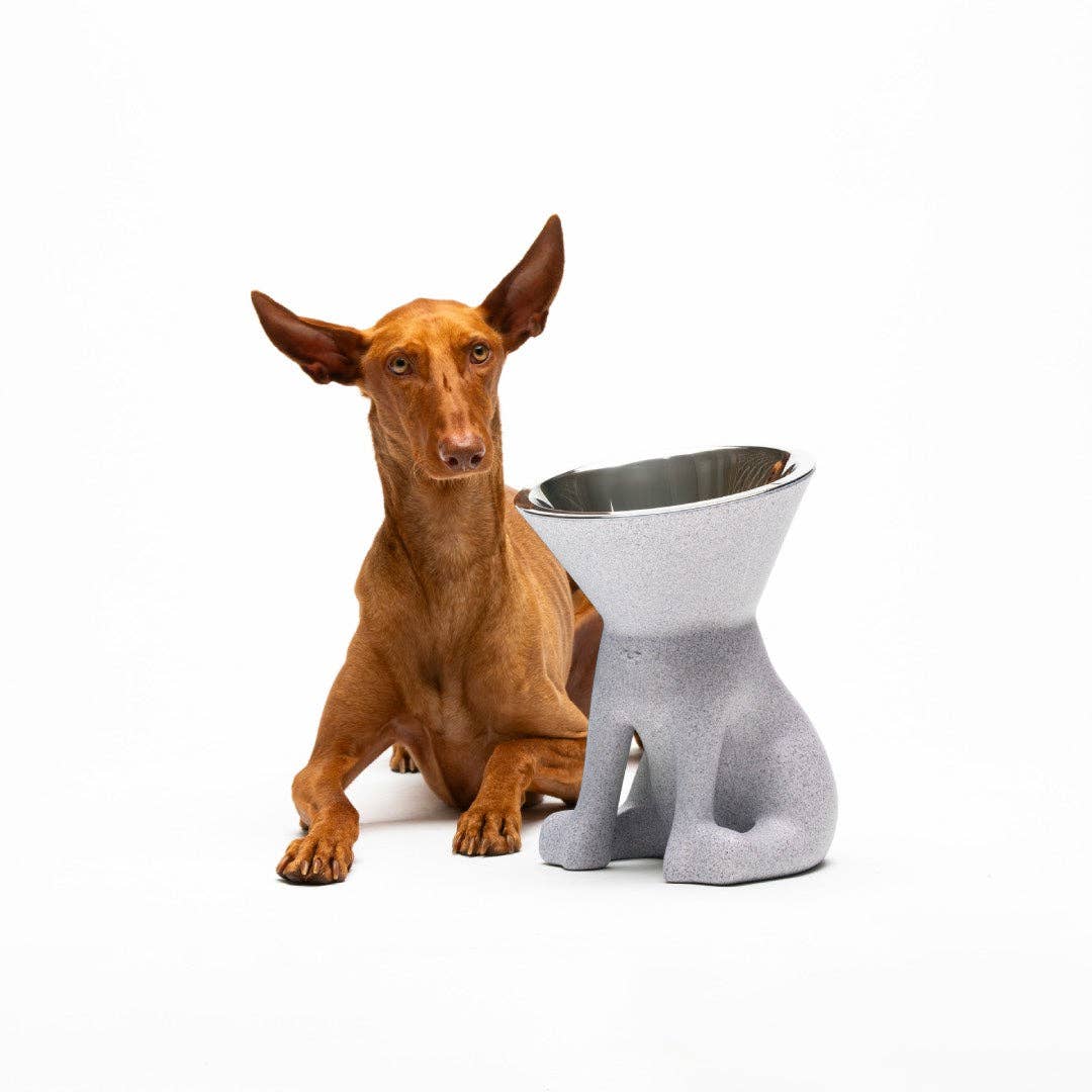 Puppy Gallery - ELIZABETH - The Queen of Dog Bowl Image