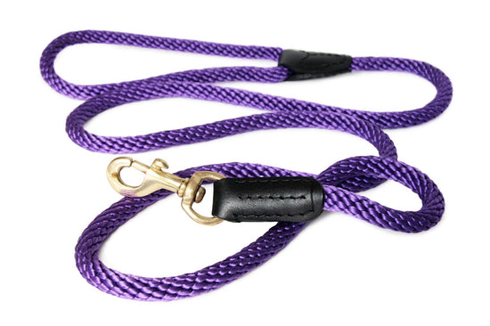Alvalley - Rope and Leather Snap Lead Image