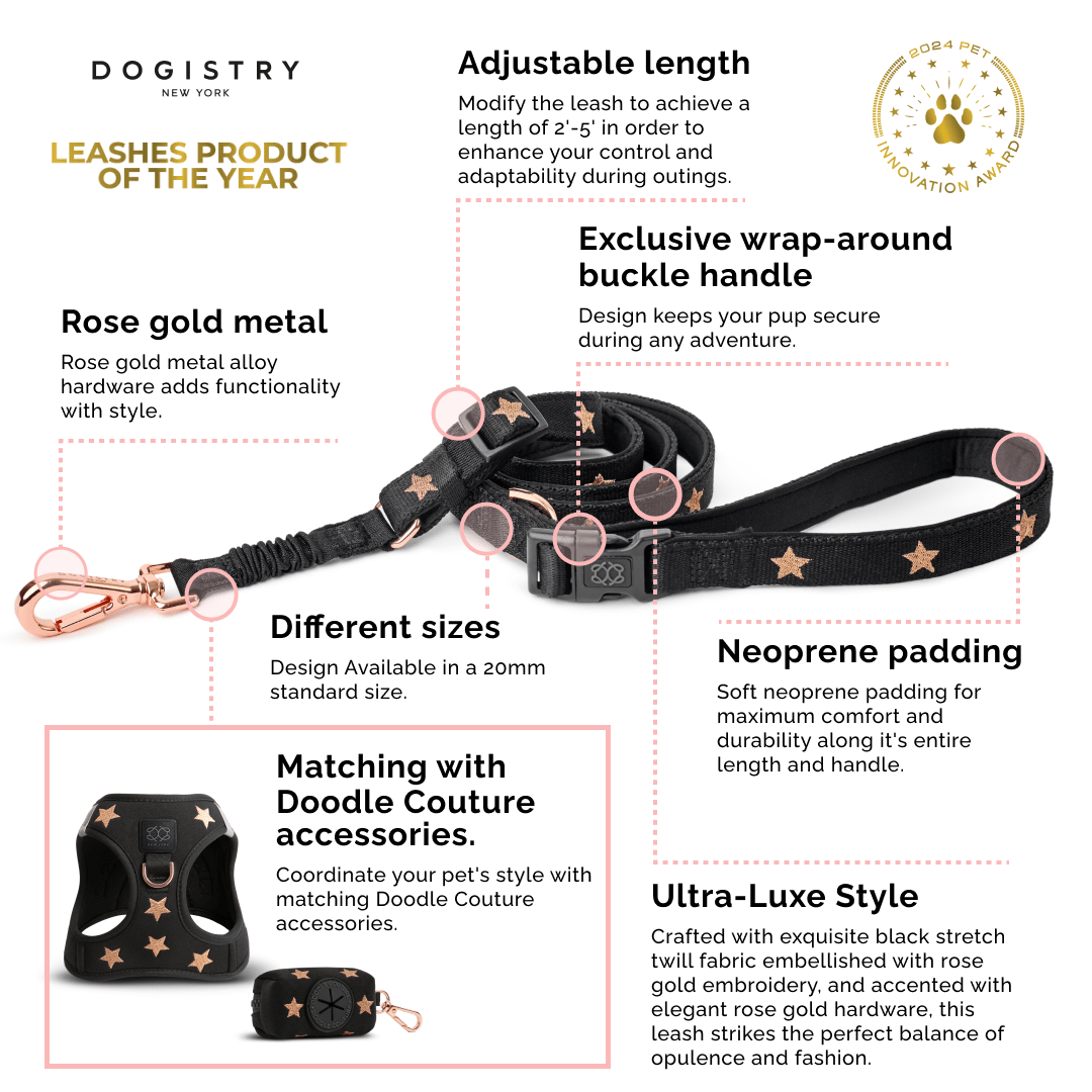 Dogistry™ - City Dog Leash - Dune Image