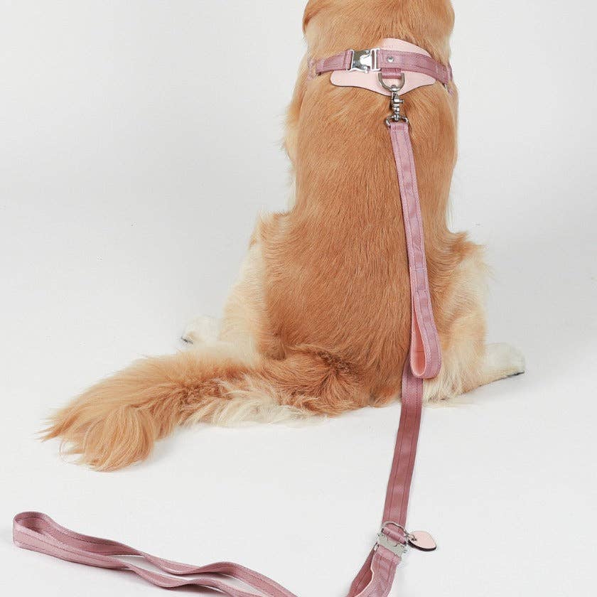 Hozi - Saddle Hands-free Leash : Pink Image