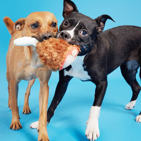 Pet Palette Distribution - BARK Tavern Turkey Leg Plush Food Dog Toy ALL Image