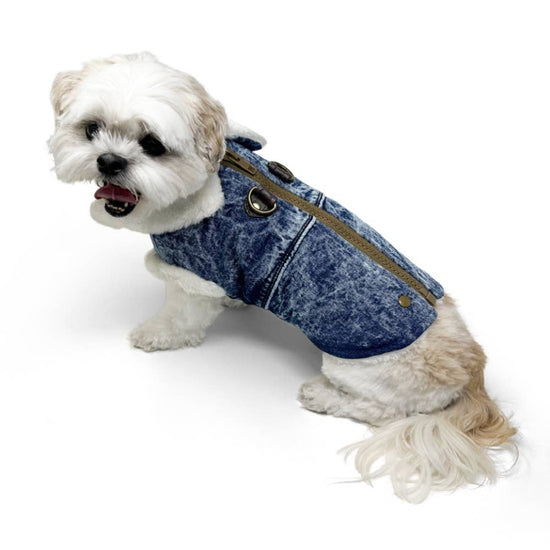 Dogo Pet - Furry Runner Coat