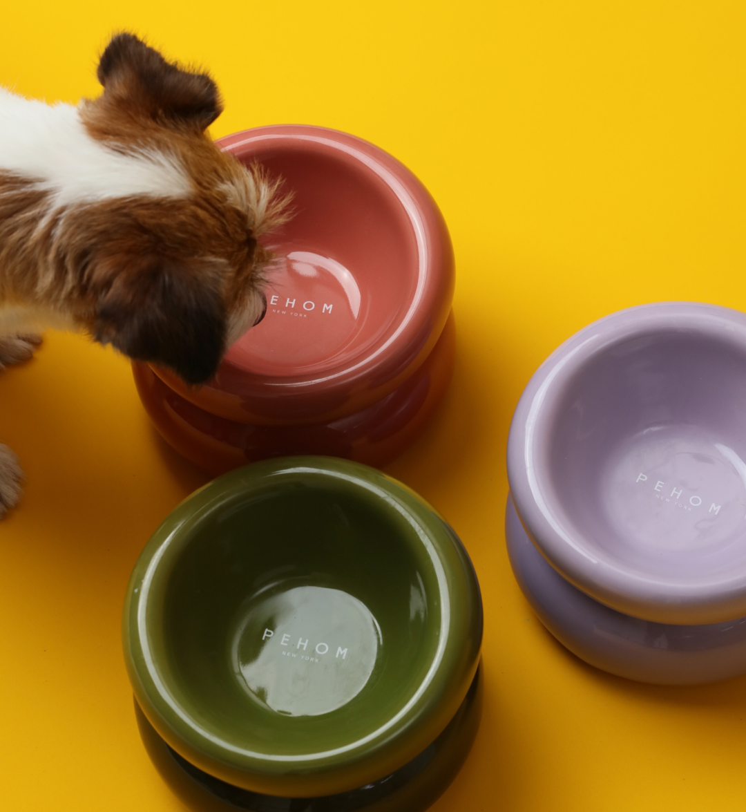 PEHOM - Soufflé Pet Bowl - Purple Image