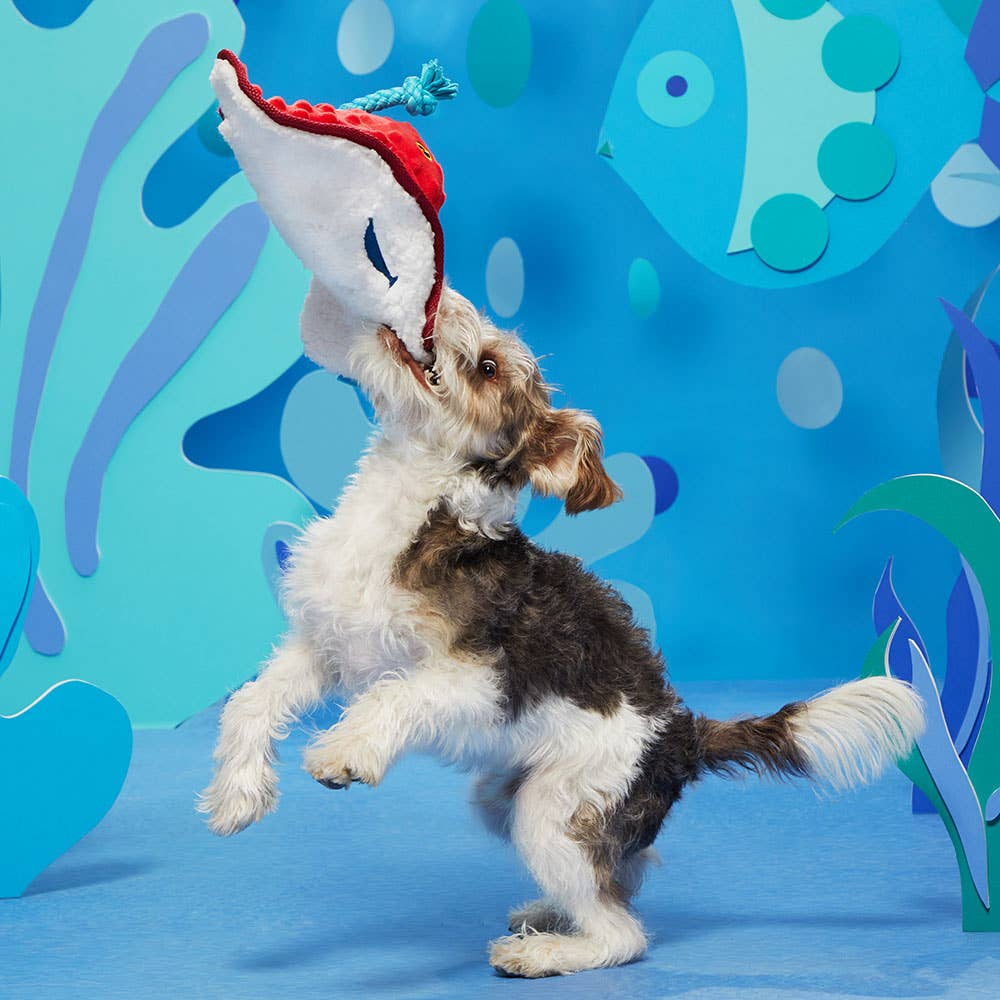 Pet Palette Distribution - BARK Sting Crosby the Ray Image