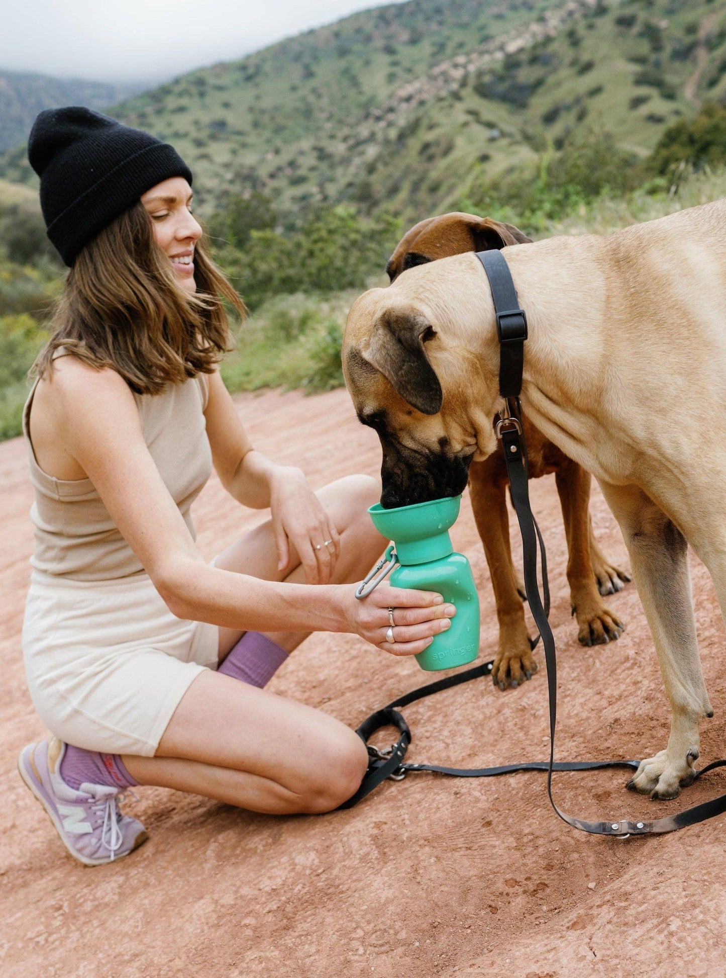 Springer Pets - Dog Travel Water Bottle, 20oz Image