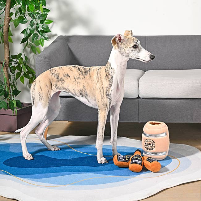 Hugsmart Products Inc - HugSmart Pet - Food Party | Whiskey Barrel Image