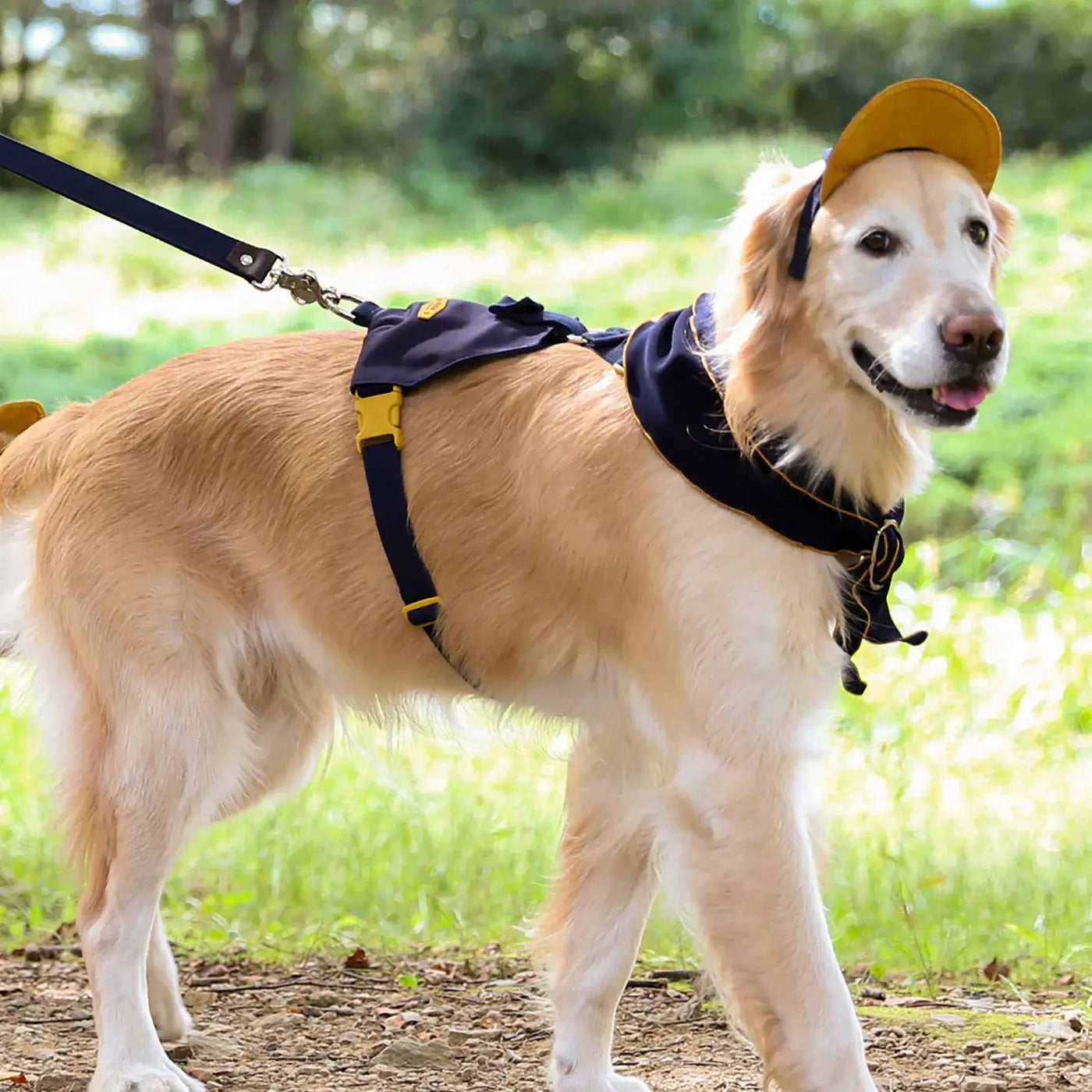 Hozi - Doggie Scarf : Navy Image