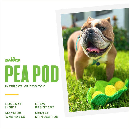 PAWTY Dog Toys - Pea Pod Interactive Snuffle Dog Toy Image