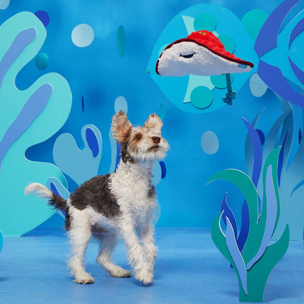 Pet Palette Distribution - BARK Sting Crosby the Ray Image