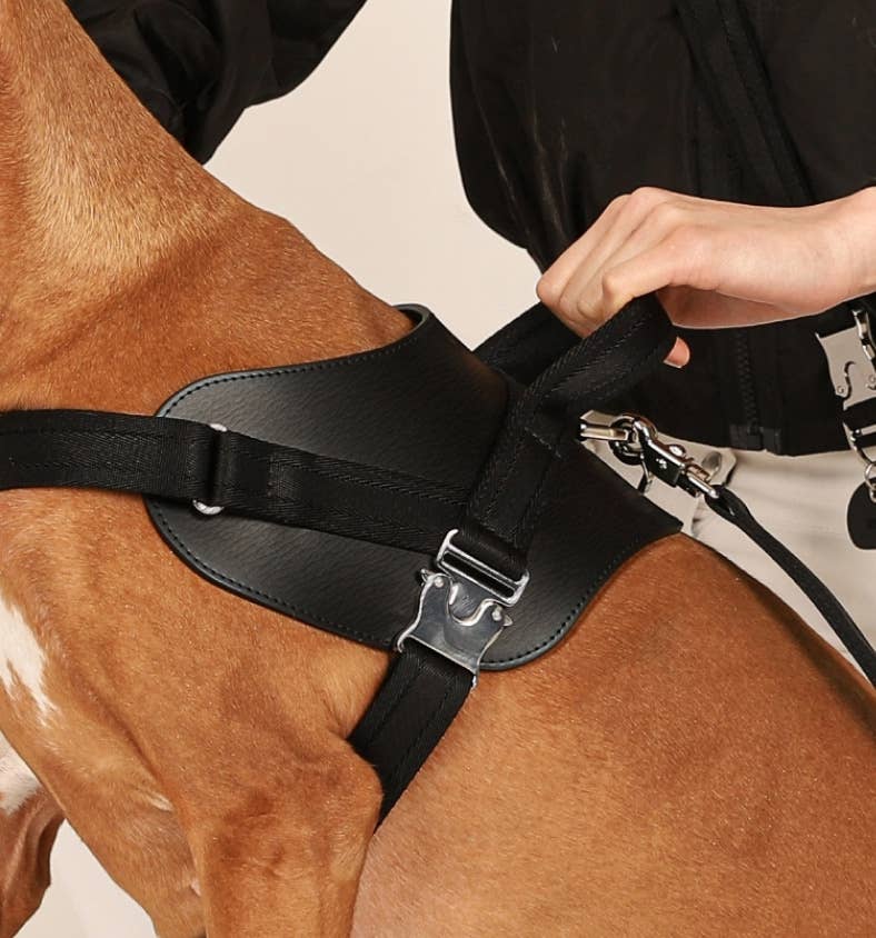 Hozi - Saddle Harness - Black Image