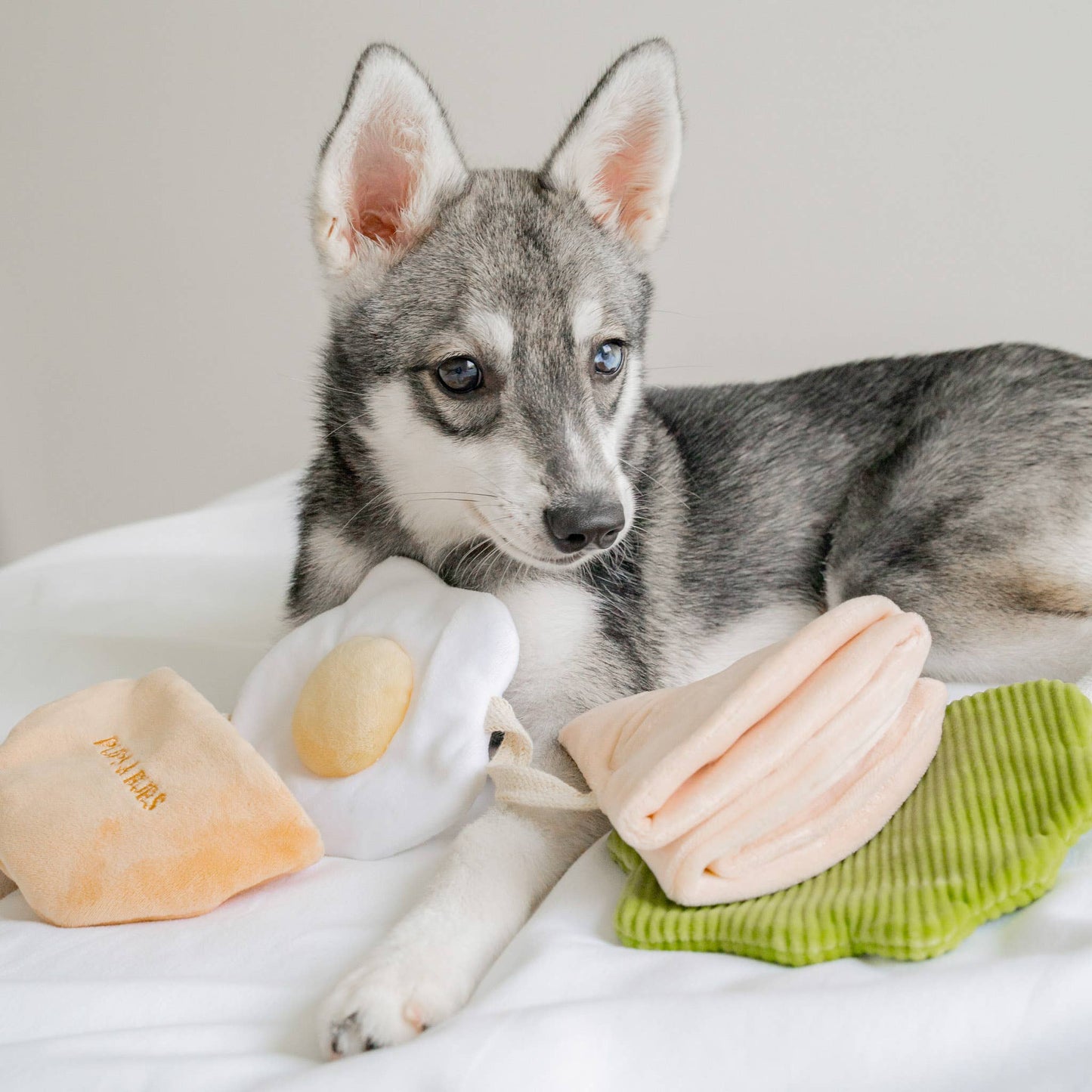 Pups & Bubs - Pita Pocket Nosework Toy Image
