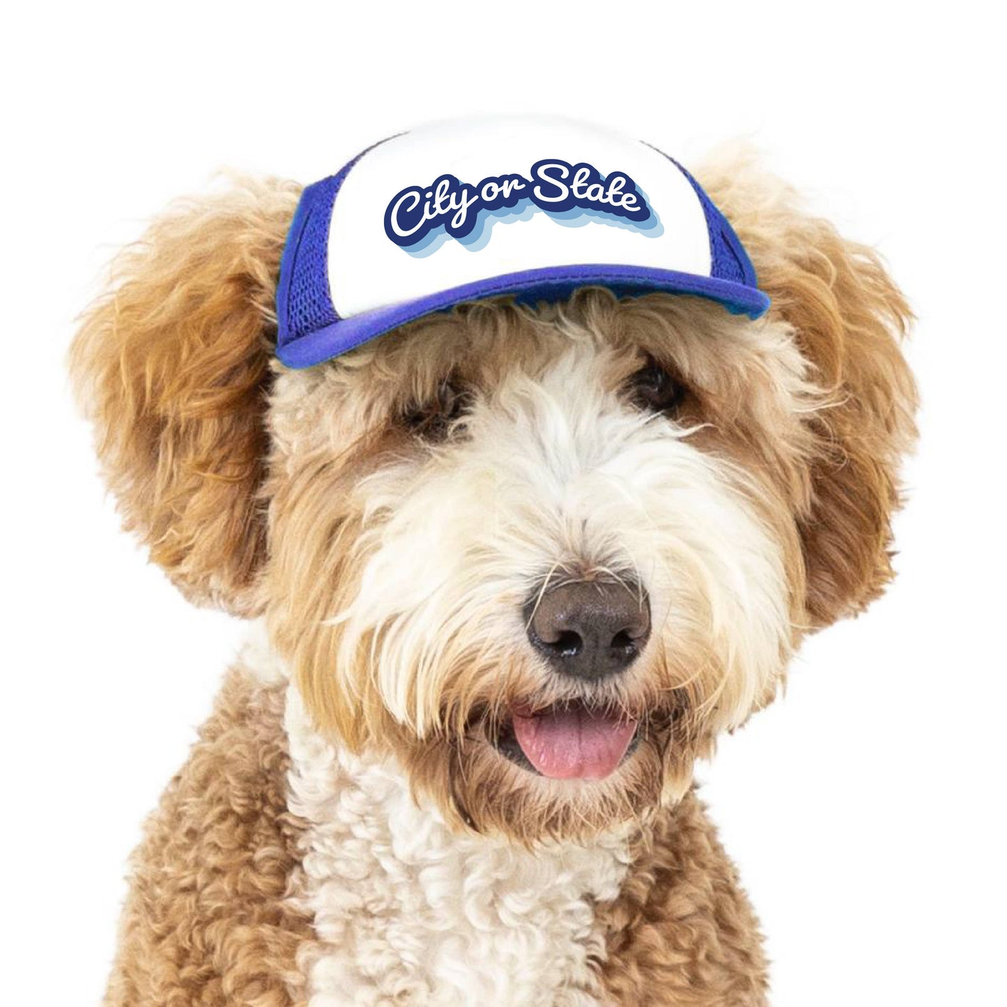 PupLid - Custom Retro Text | Trucker Hat for Dogs Image