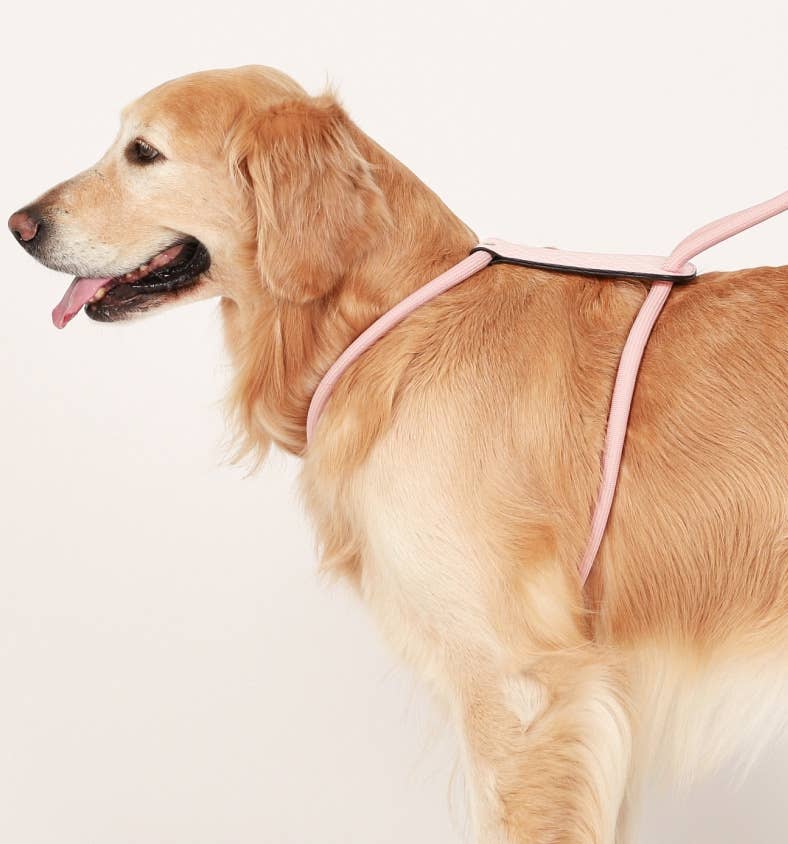 Hozi - Essential Harness - Pink Image