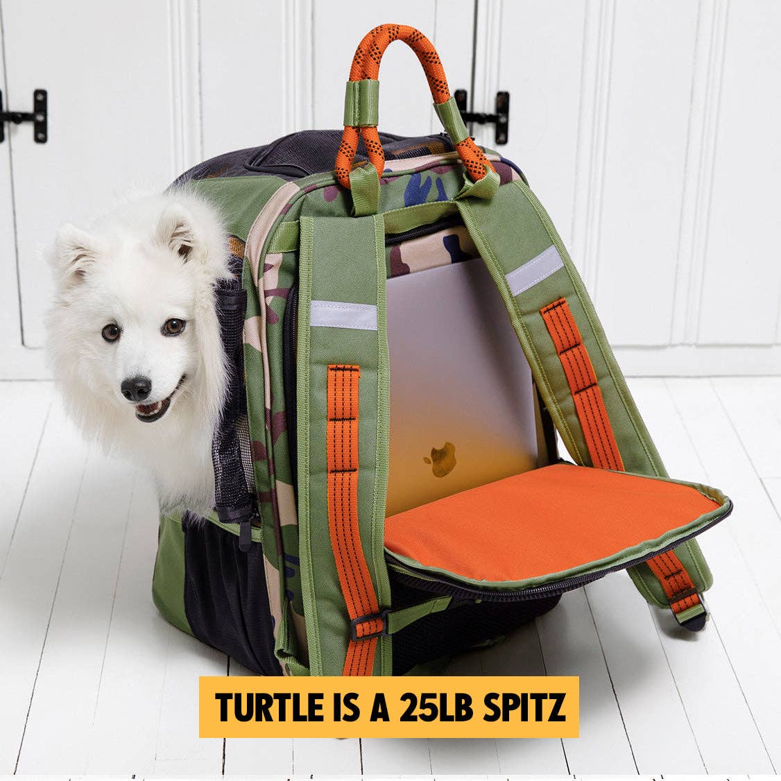 ROVERLUND - READY-FOR-ADVENTURE PET BACKPACK Image