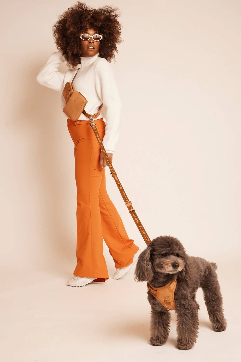 maxbone - GO! With Ease Hands-Free Leash for Dogs Image