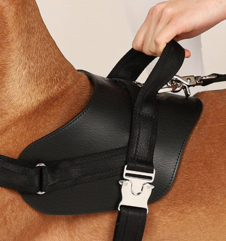 Hozi - Saddle Harness - Black Image