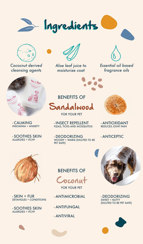 Pure + Good - Dog & Cat Shampoo: Sandalwood + Coconut Image